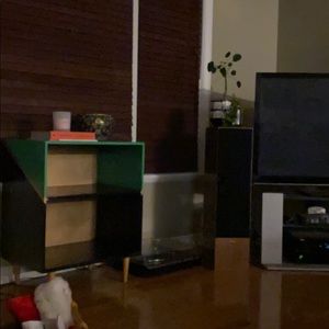 Meet your Posher, Bailey